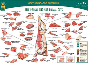 Beef-Primal-and-Sub-Primal-Cuts-Small